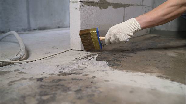 SJ Waterproofing Pros Sump Pump Installation coverage map for Belding, MI and surrounding area